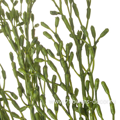 Растение искусственноеАспарагус, H40 см - фото 2