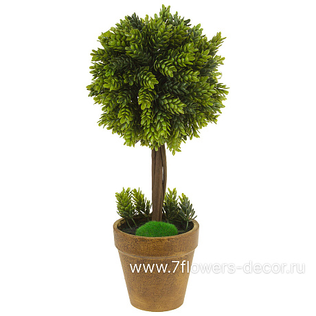 Растение искусственное в кашпо Самшит, H43 см - фото 1