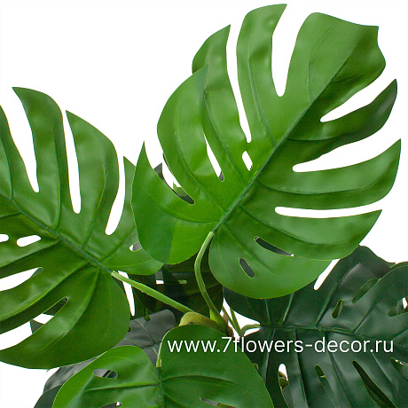 Растение искусственное Монстера Сплит в кашпо, 26 листьев, H140 см - фото 3