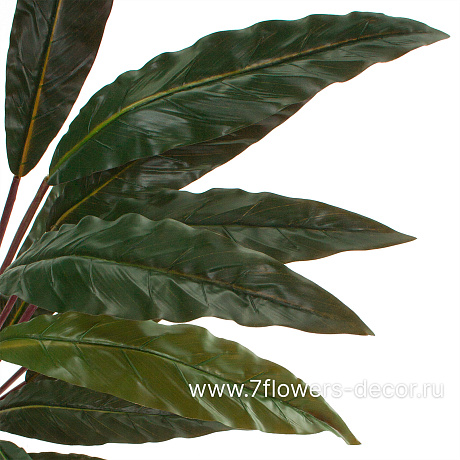 Растение искусственное Калатея в кашпо, H100 см - фото 3
