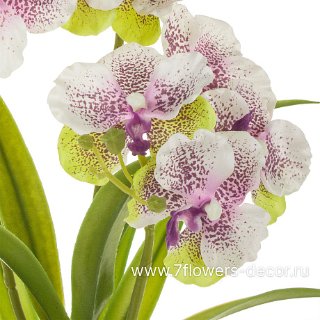 Растение искусственное Орхидея Ванда в кашпо, H50 см - фото 2