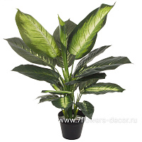 Растение искусственное "Диффенбахия" в кашпо, H55 см - фото 1