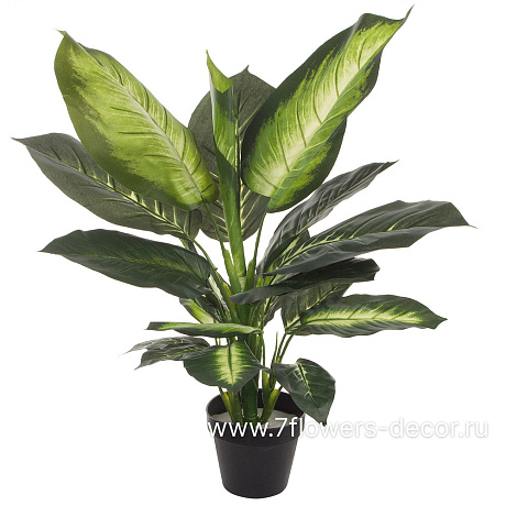 Растение искусственное Диффенбахия в кашпо, H55 см - фото 1