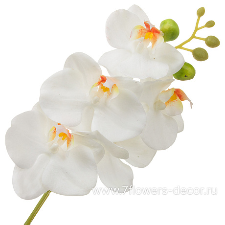 Цветок искусственный Фаленопсис, H42 см, с силиконовым покрытием - фото 1