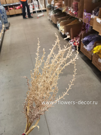 Ветка искусственная Эвкалипт, H61 см - фото 1