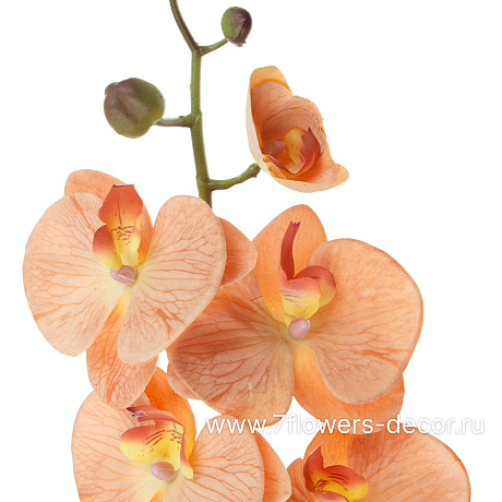 Цветок искусственный Фаленопсис, 112 см, с силиконовым покрытием - фото 2