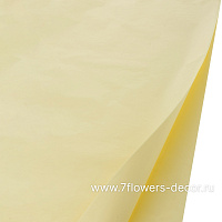 Набор упак.бумаги Тишью, 50 смх70 cм (10шт) - фото 1