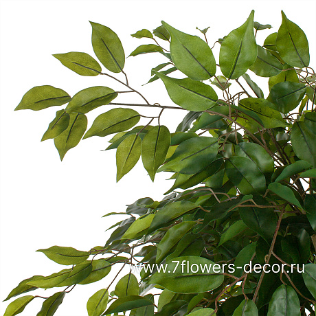 Дерево искусственное Фикус-Лиана, 1680 листьев, Н180 см - фото 3