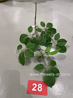 Растение искусственное "Шефлера", H86 см - фото 1