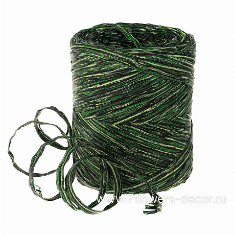 Рафия искусственная Двухцветная, зеленый цвет, 10 ммx200 м - фото 1