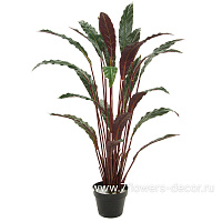 Растение искусственное "Калатея" в кашпо, H100 см - фото 1