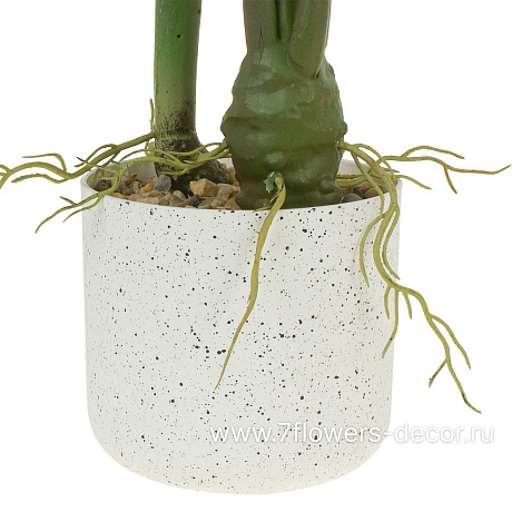 Растение искусственное Каладиум в кашпо, H70 см - фото 2