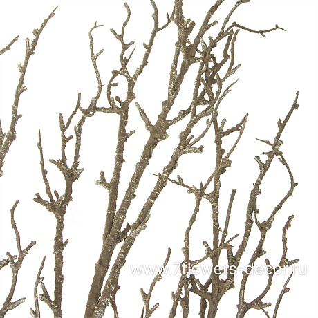 Ветка искусственная Ветвь, H145 см - фото 2