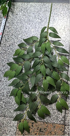 Ветка искусственная Зизифус, H65 см - фото 1