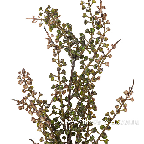 Ветка искусственная Эвкалипт, H61 см - фото 2