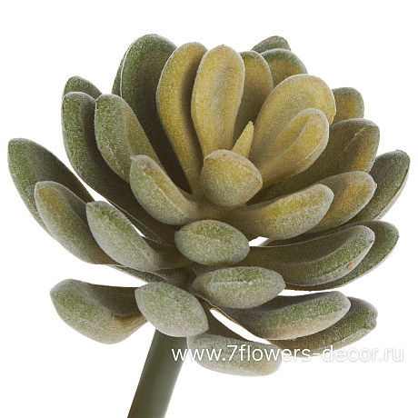 Растение искусственное Суккулент Седум Эллис, 7xH11 см - фото 1