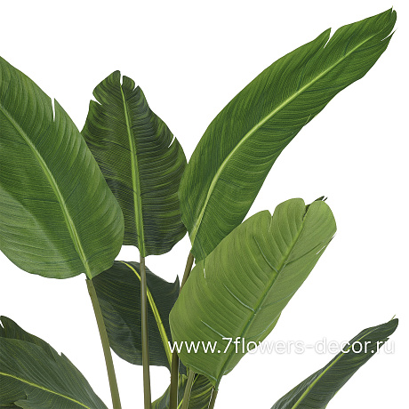 Растение искусственное в кашпо Стрелиция,  12 веток, H180 см - фото 2