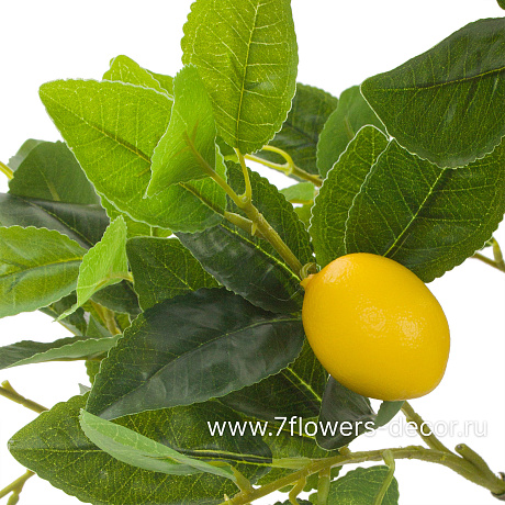 Дерево искусственное Лимон в кашпо, H90 см - фото 2