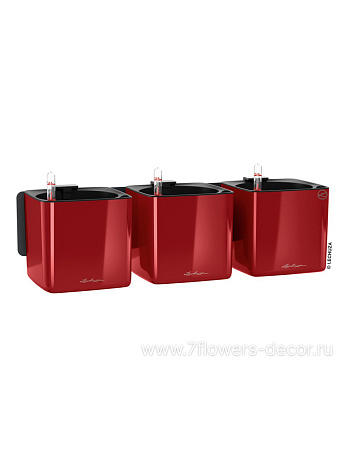 Комплект настенный Lechuza "Green Wall Home Kit Glossy scarlet red high gloss" (пластик), 48x14xH14 