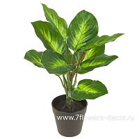 Растение искусственное "Диффенбахия" в кашпо, H35 см - фото 1