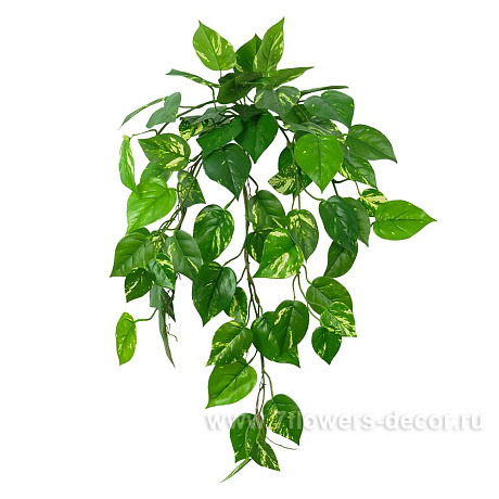 Растение искусственное Потос Ампельный, 66 листьев, 70 см - фото 2