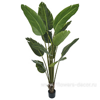 Растение искусственное в кашпо "Стрелиция",  12 веток, H180 см - фото 1