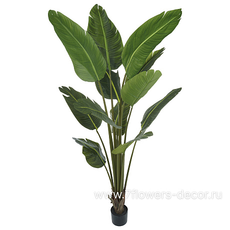 Растение искусственное в кашпо Стрелиция,  12 веток, H180 см - фото 1