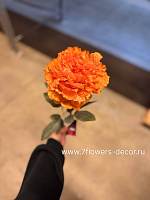 Цветок искусственный "Пион", H70 см - фото 1
