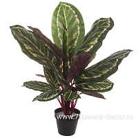 Растение искусственное "Диффенбахия" в кашпо, H60 см - фото 1