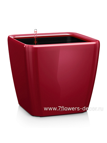 Кашпо Lechuza "Quadro LS Complete scarlet red high gloss" (пластик), 50x50xH47 см