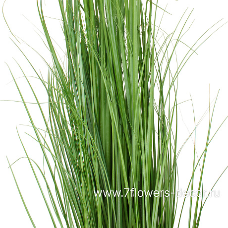 Трава искусственная Кудрявая, H100 см, в кашпо - фото 3