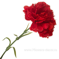 Цветок искусственный "Гвоздика", H50 см - фото 1