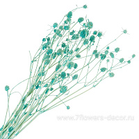 Сухоцветы "Эрингиум (Синеголовик)", H50 см, набор (5 шт) - фото 1