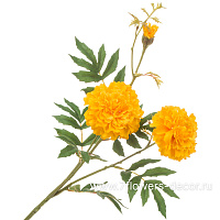 Цветок искусственный "Бархатцы", H75 см - фото 1