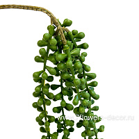 Растение искусственное ампельное "Крестовник Роули", H75 см - фото 1