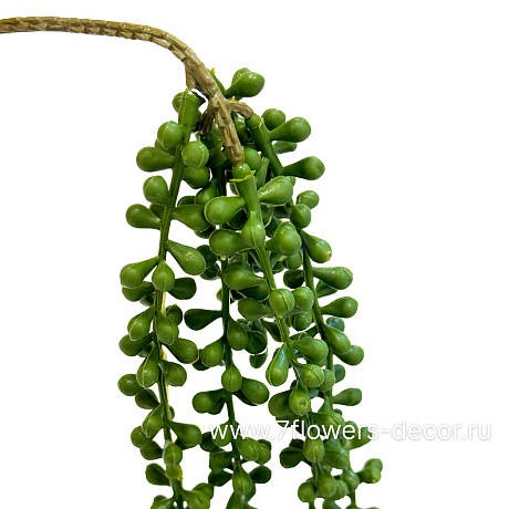 Растение искусственное ампельное Крестовник Роули, H75 см - фото 1
