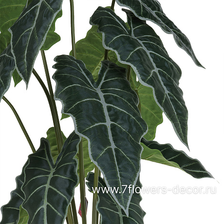 Растение искусственное в кашпо Алоказия,  15 веток, H90 см - фото 2