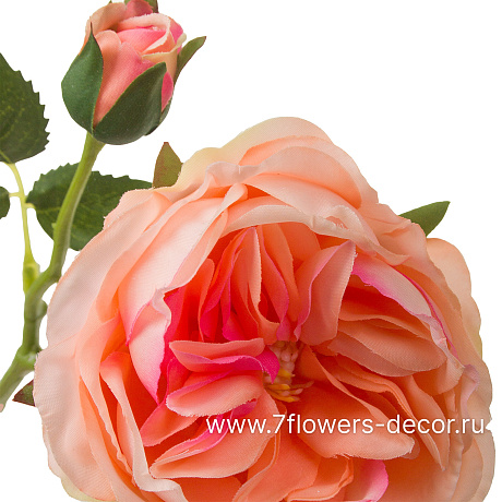 Цветок искусственный Роза пионовидная, H50 см - фото 2