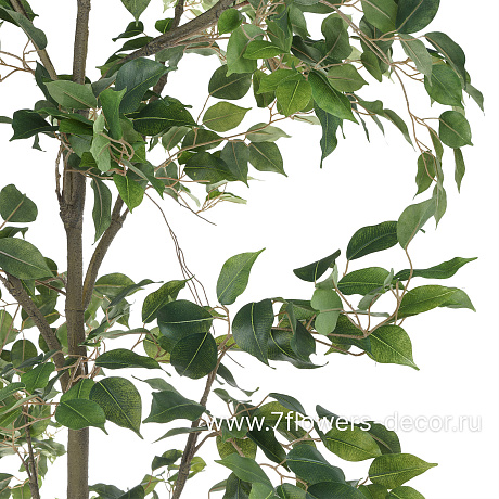 Дерево искусственное Фикус,1410 листьев, Н240 см - фото 2