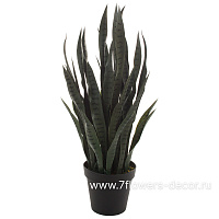 Растение искусственное "Сансевиерия" в кашпо, H100 см - фото 1