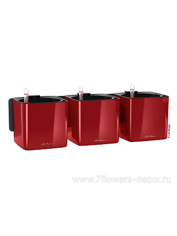 Комплект настенный Lechuza Green Wall Home Kit Glossy scarlet redhighgloss (пластик), 48x14xH14 см - фото 1