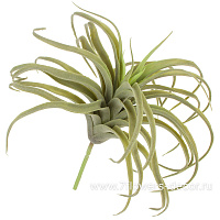 Растение искусственное "Тилландсия", H22 см - фото 1