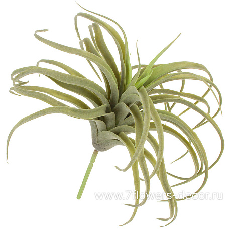 Растение искусственное Тилландсия, H22 см - фото 1