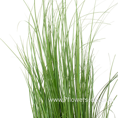 Трава искусственная Кудрявая, H80 см, в кашпо - фото 3