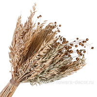 Букет из сухих колосовых культур и льна, Н48 см - фото 1