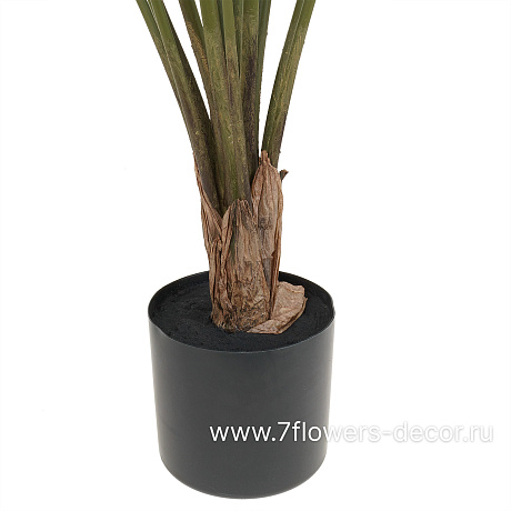Растение искусственное в кашпо Калатея,  15 веток, H100 см - фото 3