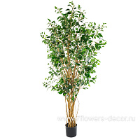 Дерево искусственное в кашпо "Фикус Бенджамина люкс", H210 см, 1830 листьев - фото 1