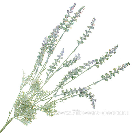 Цветок искусственный Лаванда широколистная, H51 см - фото 1