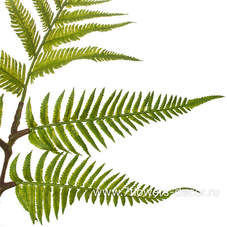 Растение искусственное Папоротник Кочедыжник, H132 см - фото 2