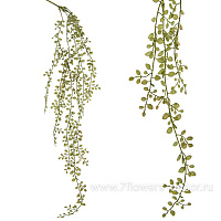 Растение искусственное ампельное "Пеллея", H110 см - фото 1